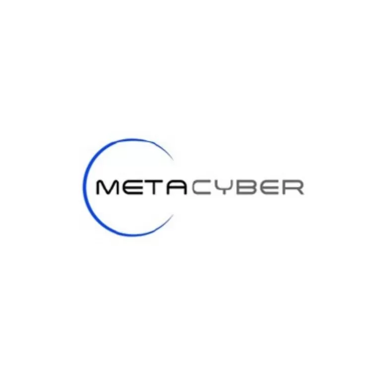 MetaCyber Profiling